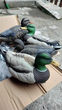 stampo di germano reale FEMMINA - mallard decoy - chasse au canard