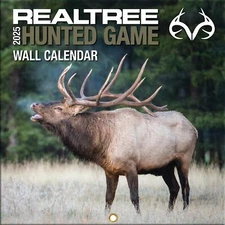 TURNER LICENSING Realtree Hunted Game Mini Wall Calendar 25998040635