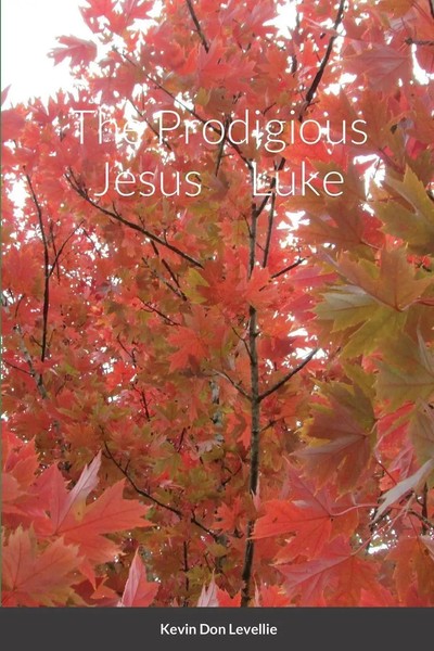 Kevin Levellie | The Prodigious Jesus Luke | Taschenbuch | Englisch (2023)-image