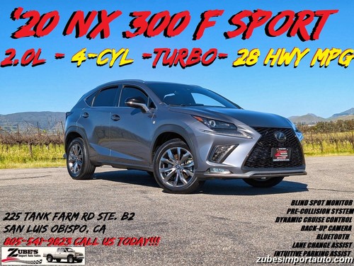 2020 Lexus NX 300 F SPORT