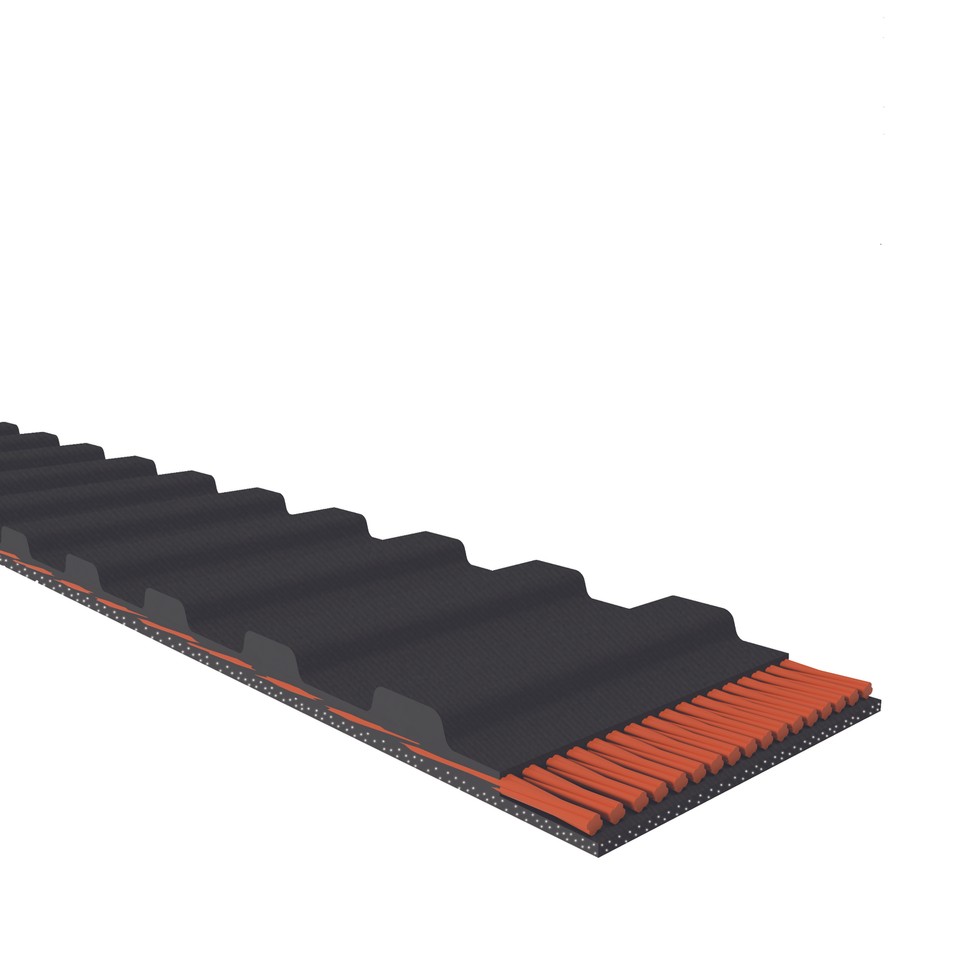 BX B SEZIONE CINGHIA A V Dentata Dimensioni BX56 - BX94 CINGHIA V - Foto 11