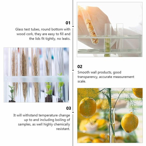 Glass Test Tubes With Cork Stopper Candy Party Wedding Party Favors 150*15 mm - Picture 8 of 15