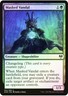MTG x1 FOIL MASKED VANDAL 1x NM Kaldheim KHM (Free Shipping) Magic the Gathering