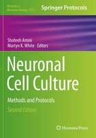 Shohreh Amini (U. A.) | Neuronal Cell Culture | Taschenbuch | Englisch (2021)