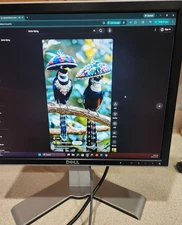 Dell 2007FPb 20" LCD Monitor 1600x1200 DVI VGA S-Video Composite w/Stand