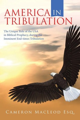 America in Tribulation Cameron MacLeod Esq. Taschenbuch Kartoniert / Broschiert