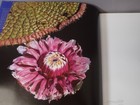 Bild 14 von 19