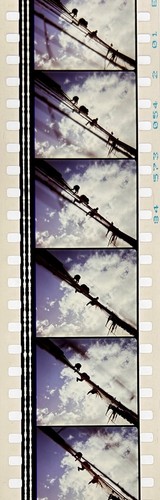 Jurassic Park 1993 Very Rare Unmounted 35mm Film Cells - Steven Spielberg - Picture 84 of 142