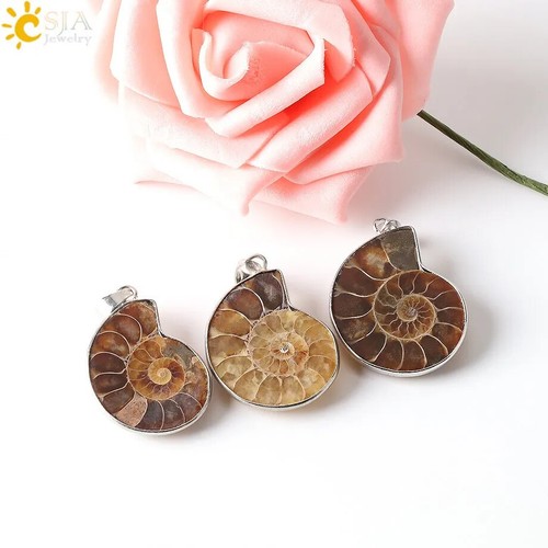 Natural Stones Pendants Ammonite Seashell Snail Ocean Reliquiae Conch Necklace - Picture 20 of 26