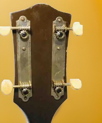 Harmony 5 String Banjo - Picture 3 of 7