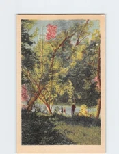 Postcard Nature Scene Art Print