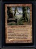 2002 Magic MTG Judgment Krosan Verge #141
