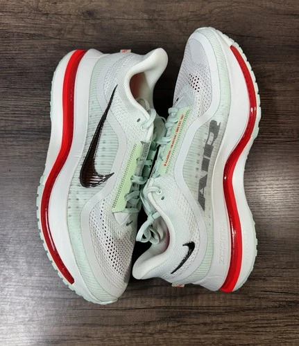 Nike Pegasus Premium Barely Green HQ2592-301 Men’s Size 14