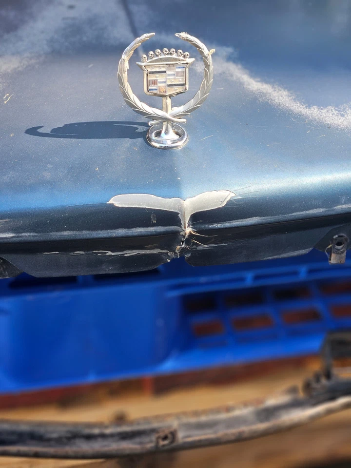 Cadillac Fleetwood Brougha 1993 1994 1995 1996 capó azul Foto 4 de 4