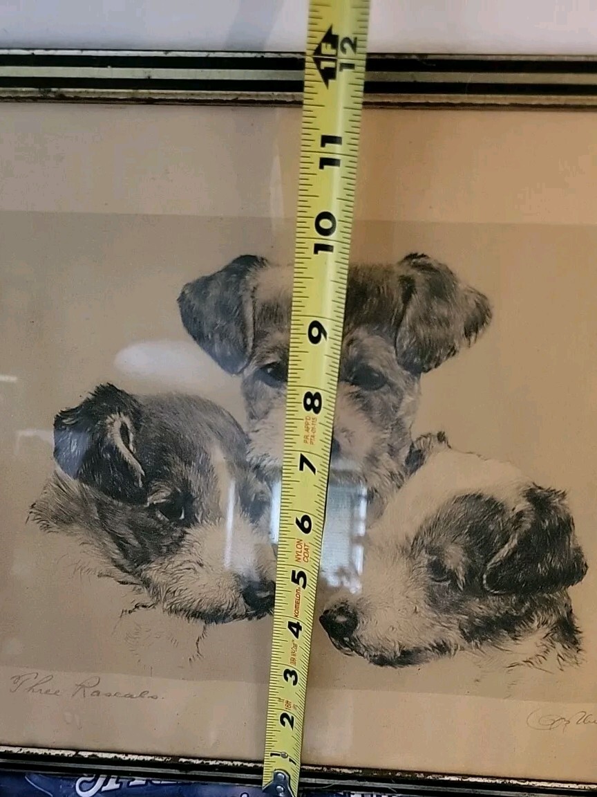 『2匹のテリア犬』ヴィンテージ銅版画  Meyer Eberhardt Vintage Framed Signed Dog Print by Kurt Meyer-Eberhardt | eBay
