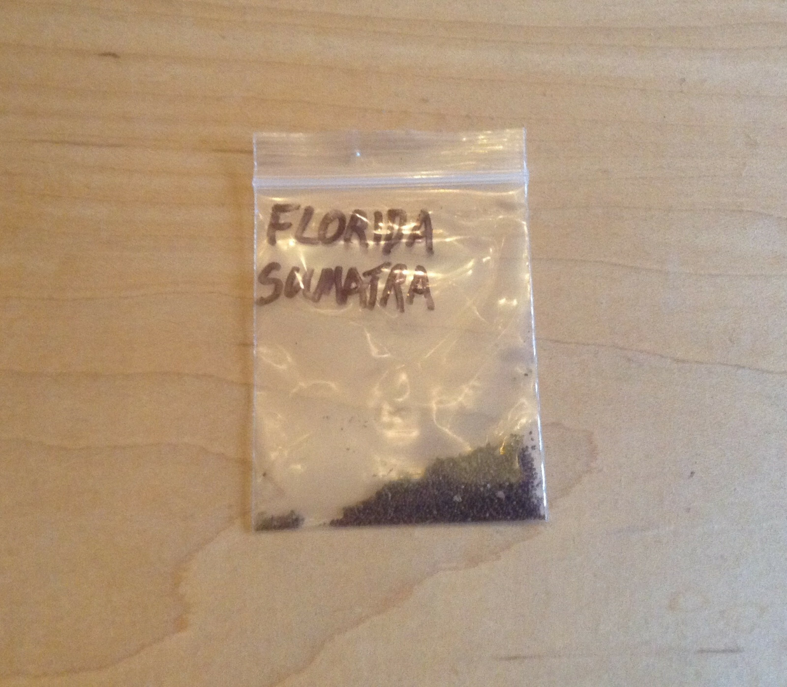 Sumatra Fl Florida Sumatra Tobacco Seeds (1000+ per packet) | eBay