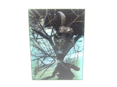 the GazettE/LIVE TOUR 13-14【MAGNIFICENT… The Gazette Live Tour 13-14 Magnificent Malformed Box Dvd