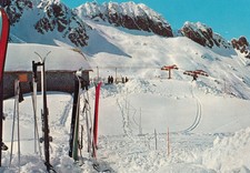 12560 Cartolina Vermiglio (TN) Passo Paradiso Conca del Presena Sciatori 1970