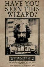 Harry Potter Wanted Sirius Black Maxi Poster