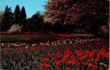 Stan Hywet Hall Akron Ohio Tulips & Flowering Trees Garden Chrome Postcard