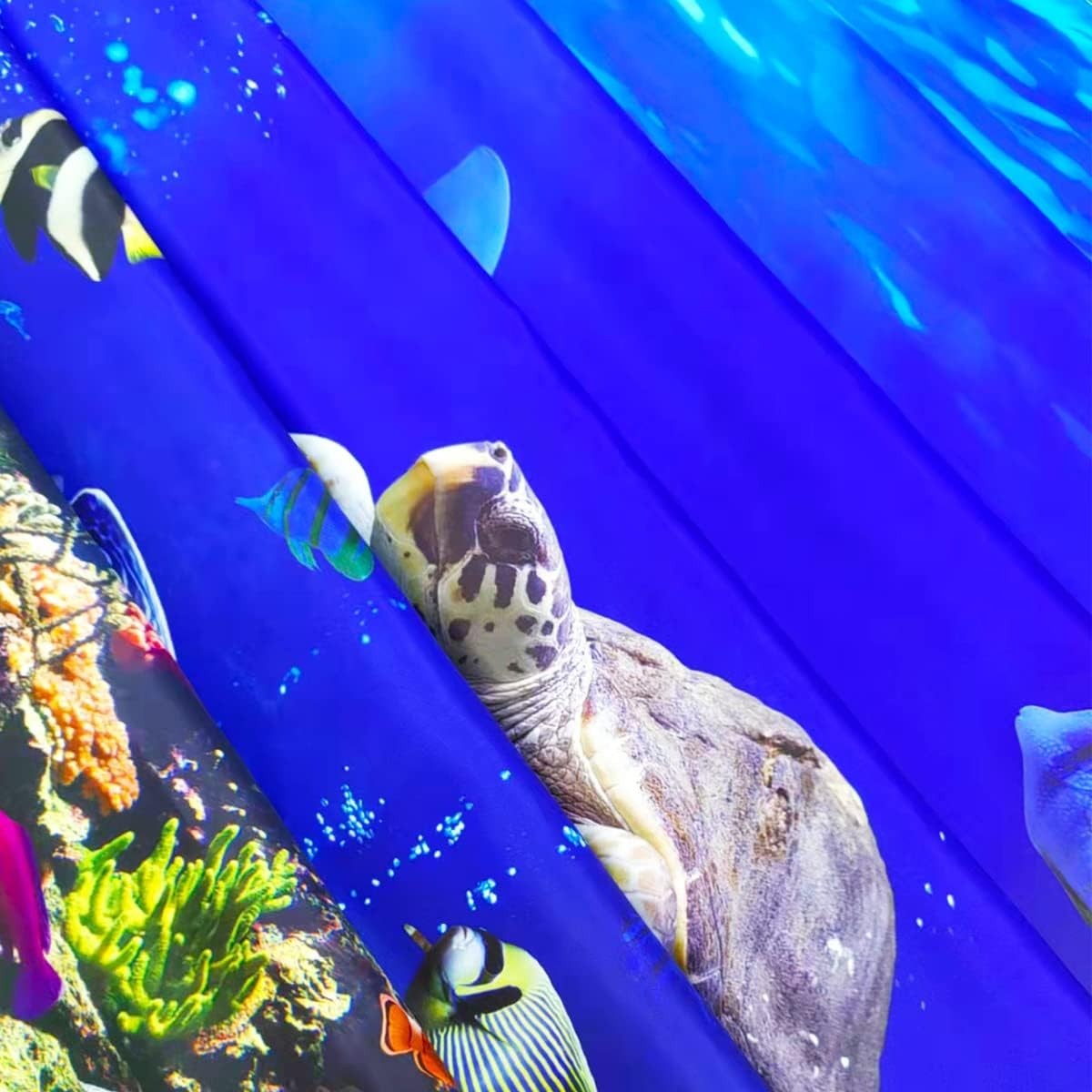 Slide 8