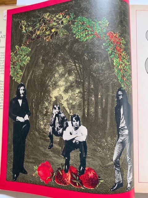 ザ・ビートルズ　The Beatles Illustrated lyric The Beatles: The Illustrated Lyrics: Welbeck: 9781787395411