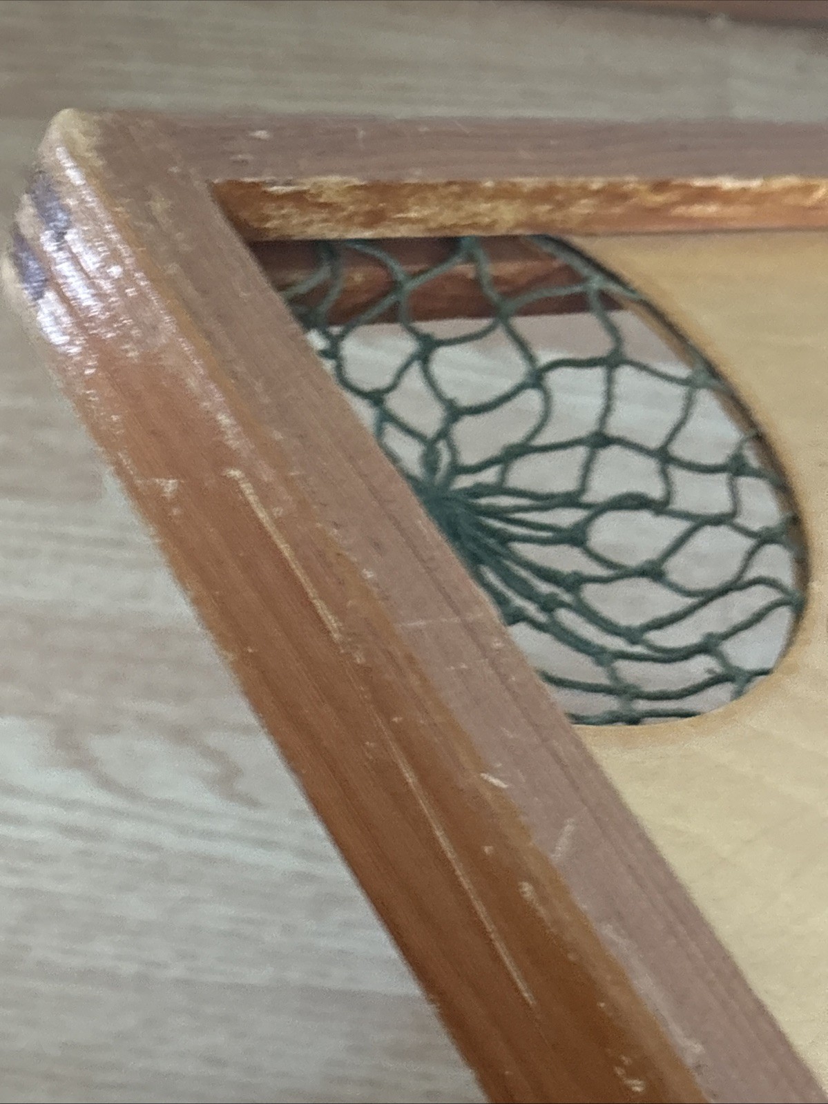 Picture 5 of 10