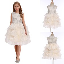 Flower Girls Tutu Dress Layered Photo Shooting Princess Banquet Wedding Casual