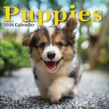TF Publishing, Puppies 2026 Wall Calendar, 12'' X 12'', 12-Month Calendar with