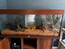 Juwel 240 litre fish tank, light, heaters & 2x free tanks