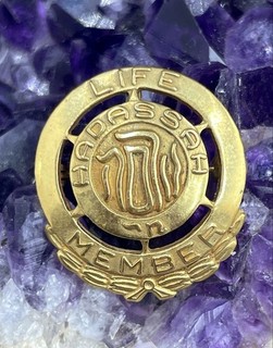 10K Gold Vintage Hadassah Life Member Pin