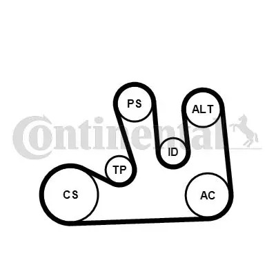 Kit cinghia trapezoidale multirighe con rullo tenditore 5PK1750K1 per RENAULT