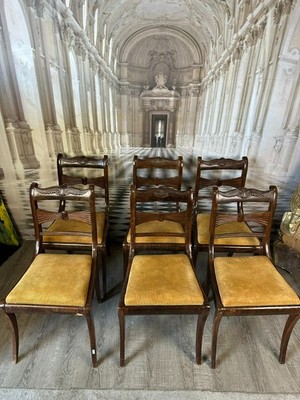 SET 6x ANTIKER REGENCY STUHL ENGLAND 19-TES JHDT MAHAGONI