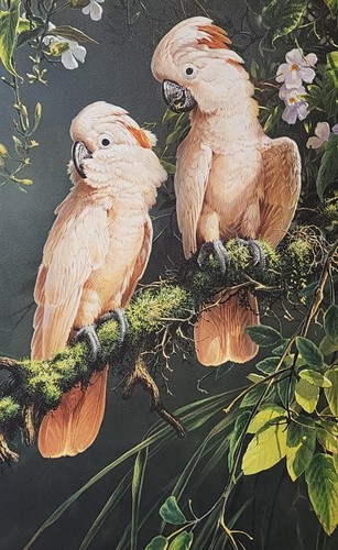 SPECIAL ART SALE! MICHAEL JACKSON Salmon Crested Cockatoo Signed Print - Picture 3 of 6