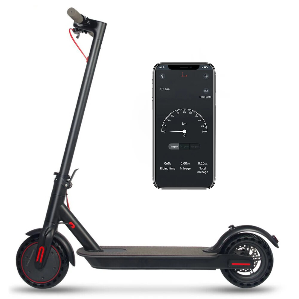 36V 350W Inches Foldable Frame Electric Scooter with APP