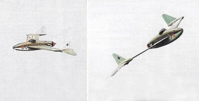 Blohm und Voss BV 208 Electric 32'' Wing RC Model Airplane Printed Plan Templates