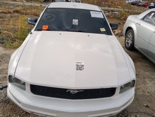 2005-2009 Ford Mustang Hood Oem Khsmi