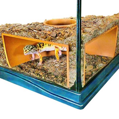 Reptile Corner Underground Cave Viewing Hide | Hognose Snake, Corn Snake & Le...