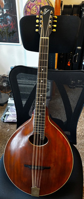 Gibson K-1 Mandocello with Martin Case 1917 mandolin family