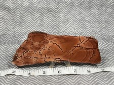 A+ Dead Camel Jasper Slab, Lot#177