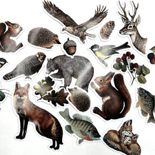 Forest Animal Stickers Nature Bear Squirrel Fox Scrapbooking Journal Cardmaking