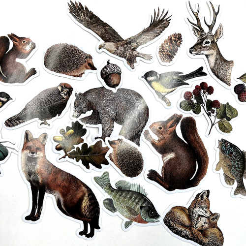 Forest Animal Stickers Nature Bear Squirrel Fox Scrapbooking Journal