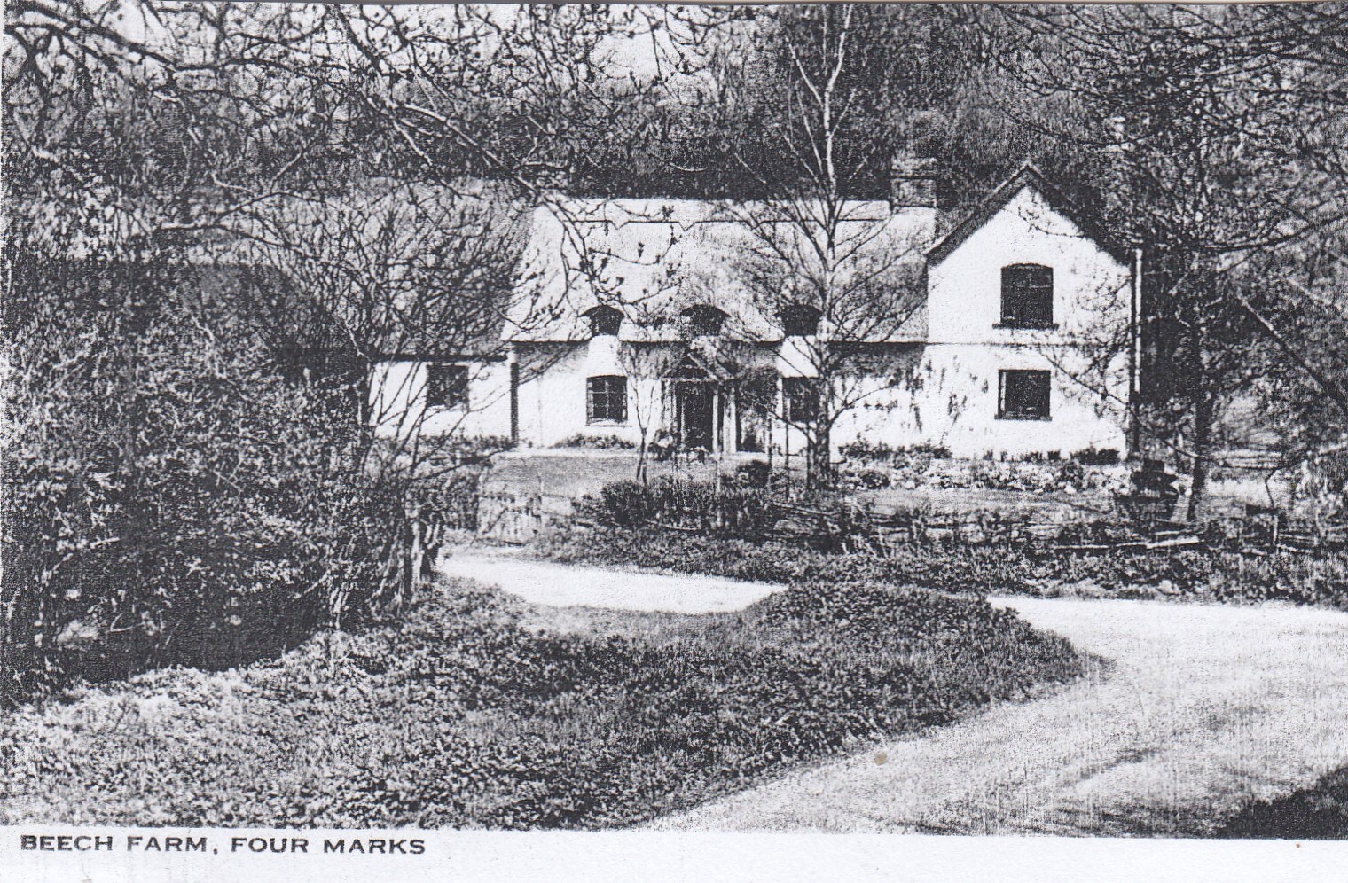 FOUR MARKS Hampshire Beech Farm with people outside RP eBay