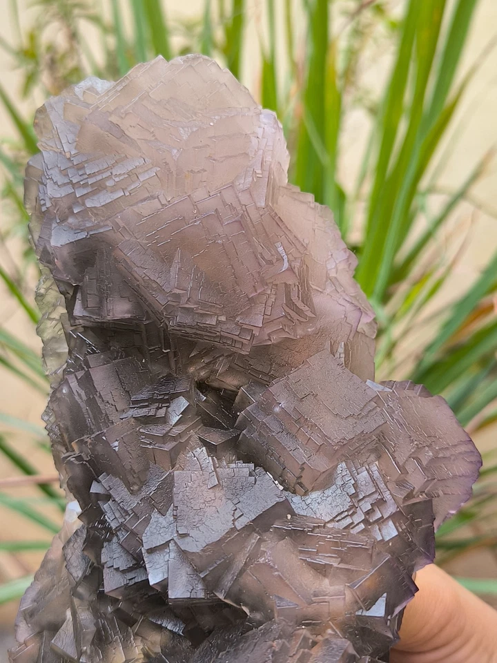 Muestra mineral de cristales de tono púrpura fluorita cúbica natural de doble cara 2120 g Foto 4 de 4