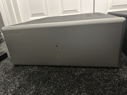 Advantage ( Bladelius ) S - 250 Monoblock Power Amplifiers ( Pair ) - Picture 3 of 6