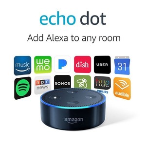 amazon echo dot ebay