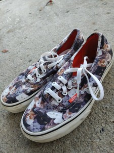 vans cat sneakers