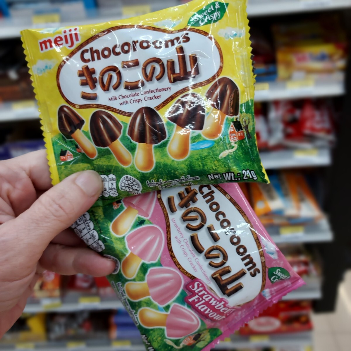 Meiji Chocorooms Chocolate Mushroom Shaped Biscuits 21 g. (10