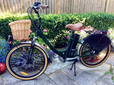 freego electric bike battery