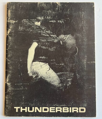 Thunderbird University of New Mexico Student Publication 1966 Art Poetry Drama - Foto 2 di 13